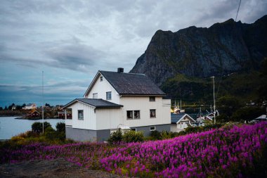 A picturesque house located amidst blooming flowers and majestic mountains set against a cloudy sky backdrop clipart