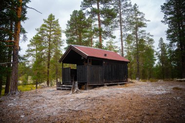 Büyüleyici bir kır kulübesi, uzun ağaçların arasında huzurlu ve huzurlu bir doğal ortamı kucaklıyor.