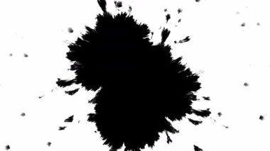 Bu, el değmemiş beyaz bir arkaplana çarpıcı bir siyah mürekkep sıçraması gösteren cesur bir soyut sanat eseri.