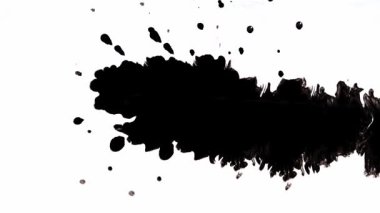 Kalın bir siyah mürekkep darbesi el değmemiş beyaz bir arka planda zarif bir şekilde sergilenir, onu çeşitli sanatsal tasarımlar için ideal kılar.