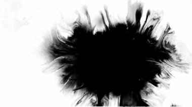 İlgi çekici bir mürekkep kusursuz bir şekilde parlak beyaz tuval yüzeyinde siyah bir tasarım oluşturur.