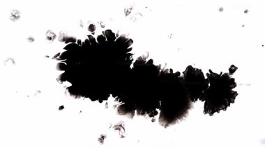 Çarpıcı ve kaotik bir siyah mürekkep sıçraması, temiz ve parlak beyaz bir arkaplana karşı cesur ve canlı bir kontrast yaratır.
