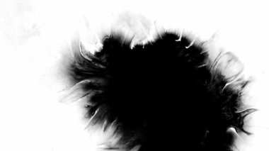 Siyah mürekkep lekesinin bu dinamik çizimi çeşitli modern tasarım temaları için ideal bir parça olarak hizmet vermektedir.