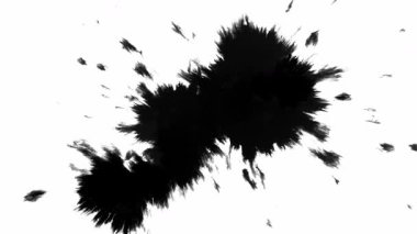 Çarpıcı ve cesur bir siyah mürekkep sıçraması, çeşitli sanatsal veya yaratıcı medya projeleri ve çabaları için mükemmel.