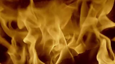 Dans eden ateşin büyüleyici görüntüsü kömürleşmiş odunları güzel sıcak renklerde ve gölgelerde parlak bir şekilde aydınlatıyor.