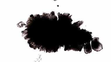 Dinamik ve koyu siyah mürekkep sıçramaları temiz beyaz bir arkaplanda çarpıcı ve büyüleyici bir görüntü yaratır.