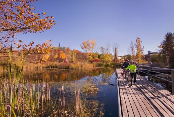 Autumn view of Weston Family Quarry Garden, a part of Torontos Valley Brick Works historic site, with a pond reflecting pale reed and colorful green yellow orange red brown autumn trees under blue