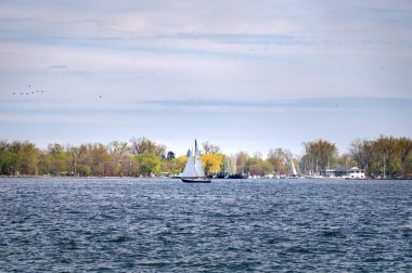 Toronto Inner Limanı 'nın koyu mavi suları boyunca bahar manzarası Ontario Gölü' nde, Toronto Merkez Adası 'nın kıyısında beyaz yelkenli yatıyla bulutlu mavi gökyüzünün altında..
