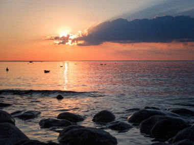 Güneşin ufukta pembe ve turuncu bir sis içinde battığı güzel bir yaz günbatımı Simcoe Gölü 'nün suları üzerinde kara bir bulut kuşağının altında, sularda yüzen martılarla ve karanlık kayalarla.