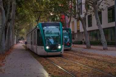 İspanya 'nın özerk Katalonya bölgesinin başkenti Barcelona' daki Carrer de Wellington caddesinde, platan uçak ağaçlarının altında yeşil tramvay..