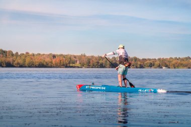 Port Perry, Ontario, Kanada - 2024 10 05: Toronto 'nun merkezinin 84 kilometre kuzeydoğusundaki Port Perry kasabası yakınlarındaki Scugog Gölü' nün sularında Stand Up Paddleboard üzerinde bir erkek sporcu.