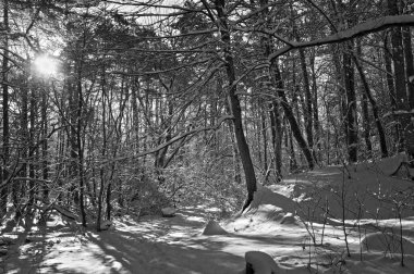 Kar kaplı bir parkta dar bir patika bir kış akşamında, güneş ışığı beyaz karların üzerine ağaçların gölgelerini düşürüyor..