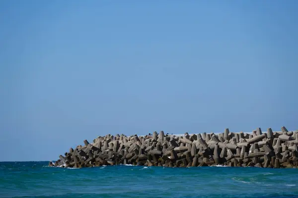 Beton dalga kırıcı tetrapodlar açık mavi gökyüzünün altında kıyı şeridini güçlü deniz dalgalarından koruyor..