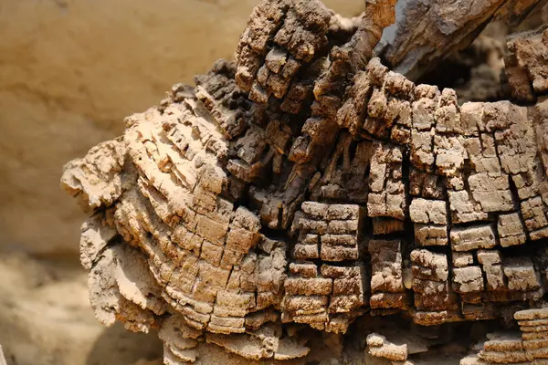 Derin çatlaklar ve katmanlı ahşap dokusuyla yıpranmış ağaç kabuğunun detaylı makro görüntüsü. Soyut desen ve toprak renkler onu arka plan, doğal dokular veya tasarım elementleri için mükemmel kılar..