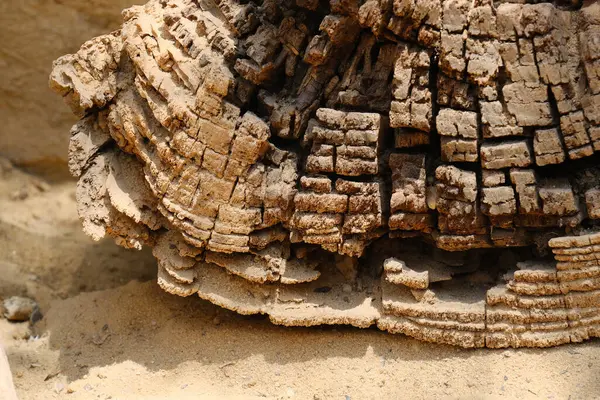 Derin çatlaklar ve katmanlı ahşap dokusuyla yıpranmış ağaç kabuğunun detaylı makro görüntüsü. Soyut desen ve toprak renkler onu arka plan, doğal dokular veya tasarım elementleri için mükemmel kılar..