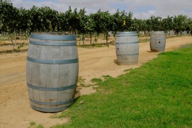 Arkasında bir üzüm bağı olan ahşap şarap fıçıları bir çöl manzarasında.