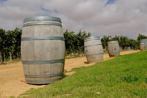 Arkasında bir üzüm bağı olan ahşap şarap fıçıları bir çöl manzarasında.