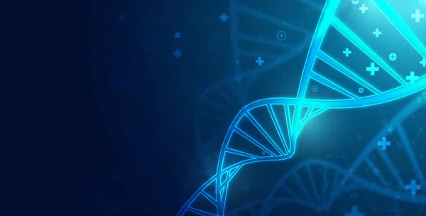 Healthcare Medical Science Technology Wireframe Dna Analysis Chromosomal Dna Genetic — Foto de Stock