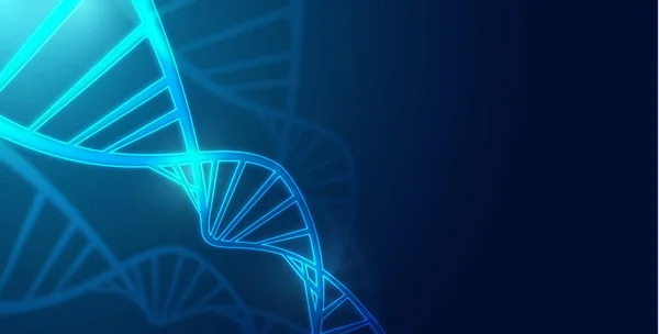 Healthcare Medical Science Technology Wireframe Dna Analysis Chromosomal Dna Genetic — Stock fotografie