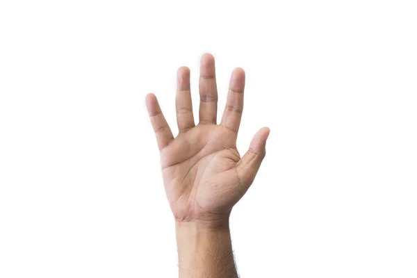 特写镜头的男人的手善意的手势 张开张开的手 展示着五个手指 伸出在白色背景隔离的问候语复制空间中 案文的篇幅 — 图库照片