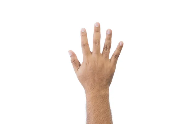 密室の男の手の後ろ 5本の指を示す開いた延長された手は白の背景で隔離された挨拶のコピースペースで5番目を意味する テキストのスペース — ストック写真