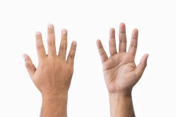 特写设置男人的手掌和手背善意的手势 张开张开的手 展示着五个手指 伸出在白色背景隔离的问候语复制空间中 案文的篇幅 — 图库照片
