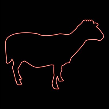 Neon koyunları Ewe Evcil Hayvanları Çiftliği Hayvanı toynak toynaklı Kuzu İneği Kırmızı Sığır Rengi Çizim Düz Stil Işık