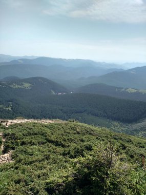 Dağ manzarası ve orman dikey renk fotoğraf görüntüsü