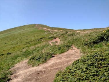 Dağın tepesinde yürüyüş yaparken Hoverla iz yatay renkli resim kullan