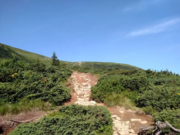 stock image Mountain road trail leads to the up scenic landscape with view hiking trail Hoverla in the Carpathians horizontal