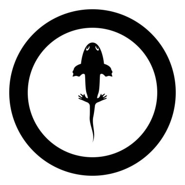 Axolotl ambystoma mexicanum üst görünüm simgesi yuvarlak siyah renk vektör illüstrasyon resmi basit taslak biçimi