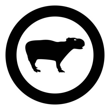 Dairesel siyah renk vektör illüstrasyonunda Capybara simgesi düz dış hat biçimi basit