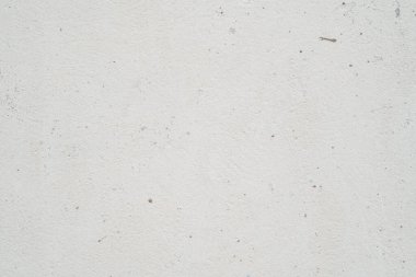 Bir ağaç dalına tünemiş bir kuşun siyah ve beyaz görüntüsü tüylerini sergiliyor..