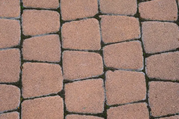 A detailed look at a section of a brick walkway, showcasing the texture and pattern of the bricks laid in a uniform arrangement.