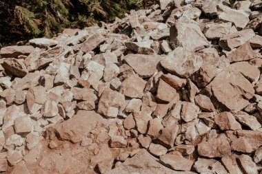 Kayalık arazide, doğal güneş ışığı altında yeşil bir zemin oluşturan taş ve kaya parçalarından oluşan bir karışım yer alıyor..