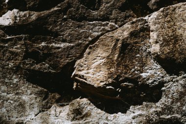 Kayalık yüzey karmaşık dokular ve doğal renkler sergiler, doğal bir ortamda jeolojik oluşumları vurgular..