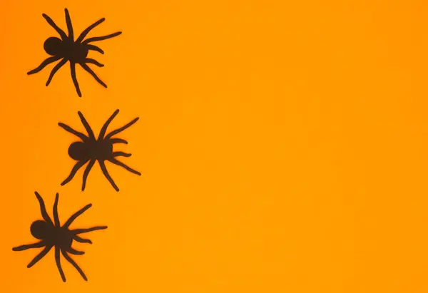 stock image Three black spiders move across an orange surface, perfect for festive Halloween themes.