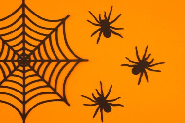 Siyah bir örümcek ağı, parlak turuncu bir arkaplanla ve yakınında üç örümcekle zıt yöndedir..
