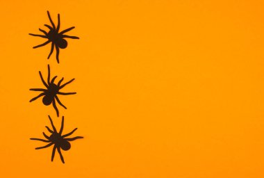 Üç siyah örümcek turuncu bir arka planda sürünerek sonbahar atmosferini çağrıştırıyor..