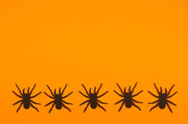 Beş siyah örümceğin parlak turuncu bir arkaplanı vardır. Mevsimsel atmosferi güçlendirir..