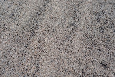 Zemin kaba gri kumla kaplı, çeşitli doku ve desenler sergiliyor. Güneş ışığı küçük taneleri vurgular, sakin ve minimalist görünen doğal bir manzara yaratır..