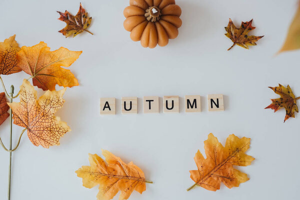 Цветные осенние листья и буквы проявляются осенью, создавая сезонную экспозицию.