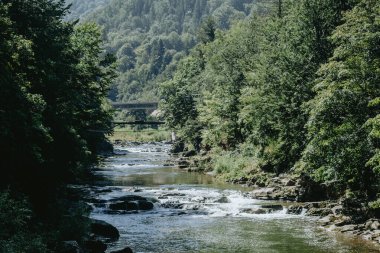 Sakin bir nehir dalgalı yeşillikler arasında süzülür. Suyun kenarında kayalar ve berrak bir gökyüzünün altında görünen bir köprü vardır..