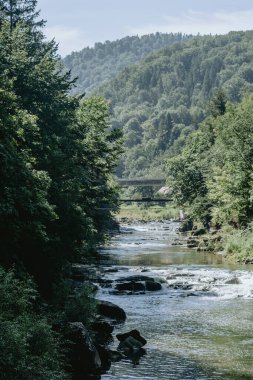 Sakin bir nehir, sık ağaçlarla çevrili yemyeşil bir vadiden geçiyor ve parlak gökyüzünün altında görünen bir köprü var..