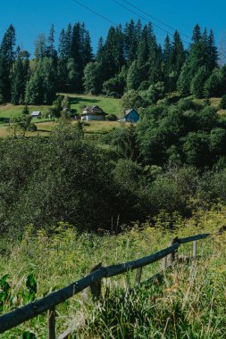 Açık mavi gökyüzünün altında yeşil ağaçlarla çevrili yeşil bir vadide küçük bir çiftlik, sakin kırsal yaşamı resmediyor..