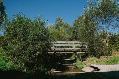 Ahşaptan yapılmış kırsal bir köprü, yemyeşil ve parlak mavi bir gökyüzü tarafından aydınlatılmış, sakin bir dereyi kaplar..