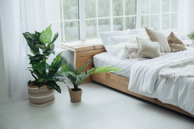 Güneşli bir yatak odasında ahşap bir yatak, dekoratif yastıklar ve bereketli ev bitkileri bulunur..