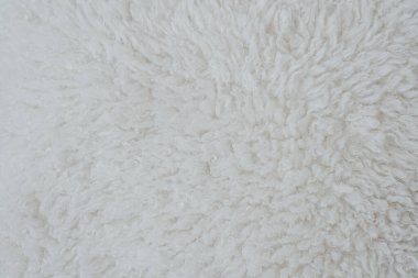 Beyaz bir halının rahat dokusu doğal ışıkla hafifçe aydınlatılmış sıcak bir atmosfer yaratır..