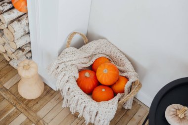 Renkli balkabakları kapalı bir odun yığınının yanında dokuma sepetinde düzenlenir..