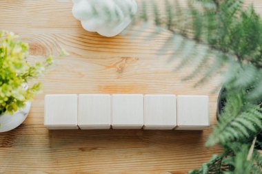 Altı düz tahta blok seti kırsal bir ahşap masa üzerinde düzgünce düzenlenmiştir. Yumuşak yeşillik sahneyi süsler, sakin ve minimalist bir estetiği güçlendirir..